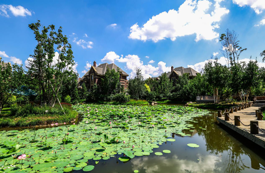 尊龙凯时·(中国区)人生就是搏!