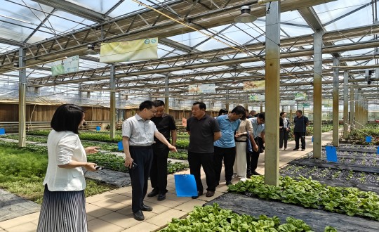 2024年6月27日，，，，，中国绿色食物生长中心相关向导莅临农业总公司考察调研_副本.jpg